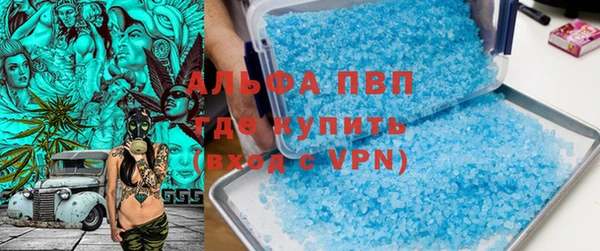 таблы Бородино