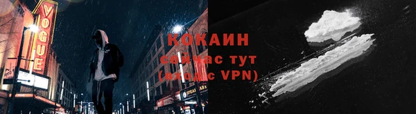 сатива Туринск