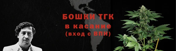 крисы Бугульма