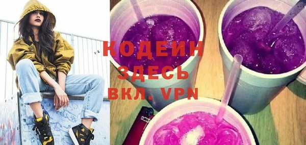 индика Верхний Тагил