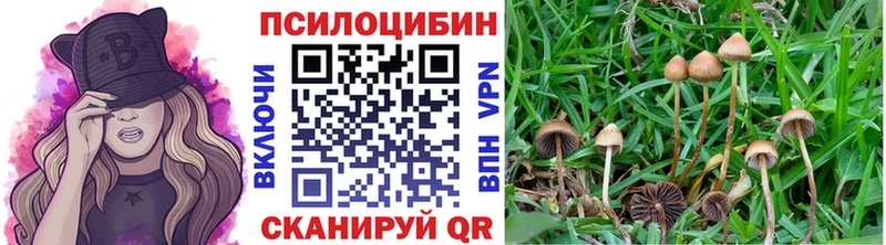 Галлюциногенные грибы мухоморы  Афипский 